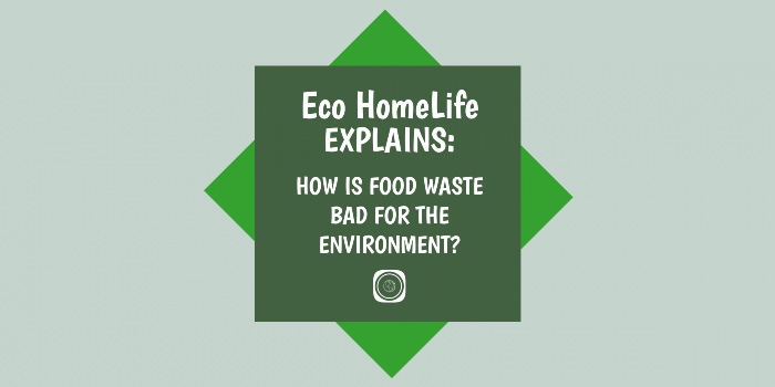 Why Is Food Waste Bad For The Environment?